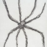 Hairy Spider