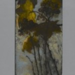 Autumn Foliage