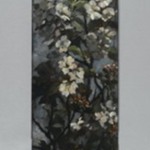 Apple Blossoms
