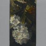 Rhododendrons