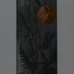 Poppies