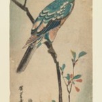 Green Parrot on a branch with red flowers