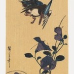 Kingfisher flies over purple morning glories (Late edition)