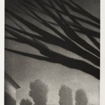 Branches, Millerton