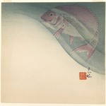 Fish in Water