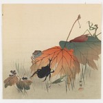 Insects on Autumn Leaves