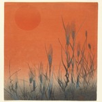 Rice at Sunset