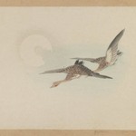 Two Geese Fly by Moon