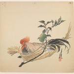 Cock in a Basket