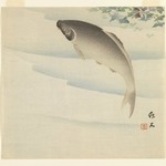 Fish Beneath Waterchestnut Plant