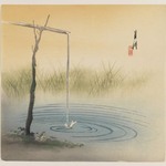 Frog by a Pool of Water