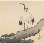 Pair of Cranes on a Branch