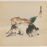 Puppies