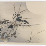 Moon and Foliage [Album page from a Bird and Flower (Kacho) Book]
