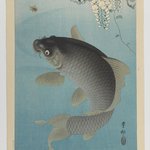 Carp Beneath Wisteria