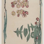 Cherry Blossoms with Pine Needle Border