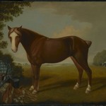 Portrait of a Horse