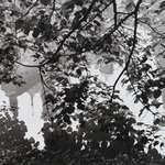 [Untitled]
