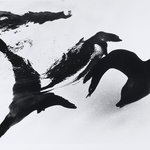 Seals