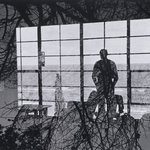 Man Against Window