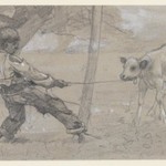 Study for "The Unruly Calf"
