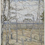 Birch Trees