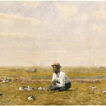 Whistling for Plover
