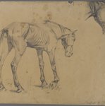 Horse and Horses Head