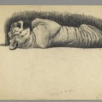 Sleeping Tiger