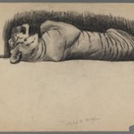 Sleeping Tiger
