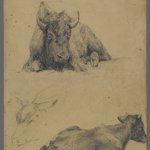 Head of Roaring Lion (recto) and Bison (verso)