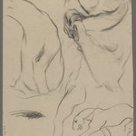 Head of Lion (recto) and Studies of Lion (verso)