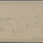 Sleeping Lion