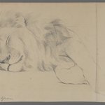 Sleeping Lion