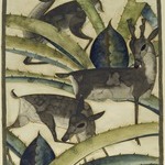 Deer and Cactus