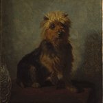 Chadwicks Dog