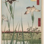 Horikiri Iris Garden (Horikiri no Hanashobu), No. 64 from One Hundred Famous Views of Edo