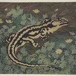 Black Striped Lizard