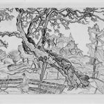 The Crippled Catalpa
