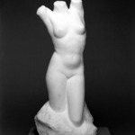 Torso