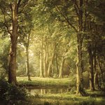 Early Summer