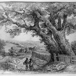 Rustic Landscape