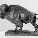 Buffalo