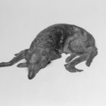 Wolfhound