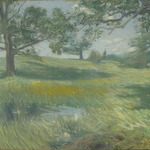 Meadows