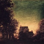 Edge of the Forest