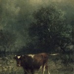 Cow and Dog