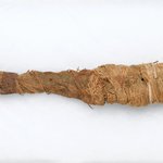 Crocodile Mummy
