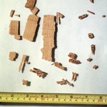 Fragments of Rhind Mathematical Papyrus