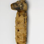 Dog Mummy